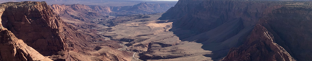 Faith, Madness, and Spontaneous Human Combustion: What Immunology Can Teach Us About Self-Perception