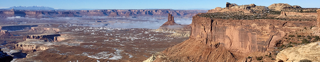 Basic Veterinary Immunology