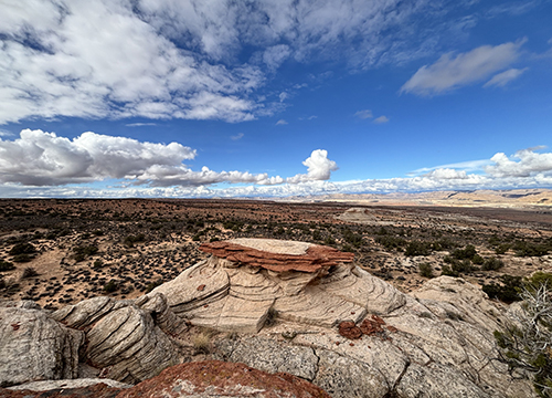 Between XX and XY: Intersexuality and the Myth of Two Sexes