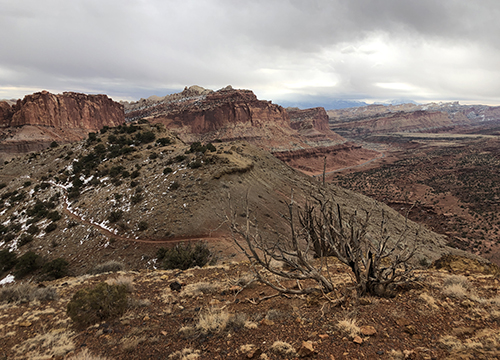 Between XX and XY: Intersexuality and the Myth of Two Sexes