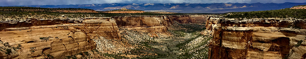 Infection: The Uninvited Universe