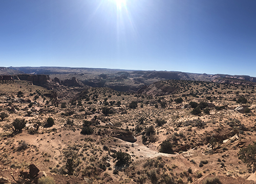 Infection: The Uninvited Universe