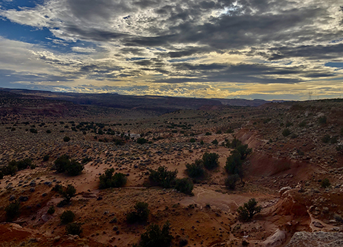 Infection: The Uninvited Universe