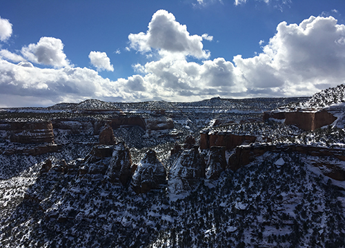 Infection: The Uninvited Universe