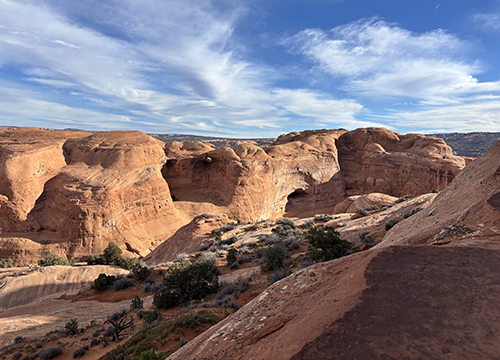 Infection: The Uninvited Universe