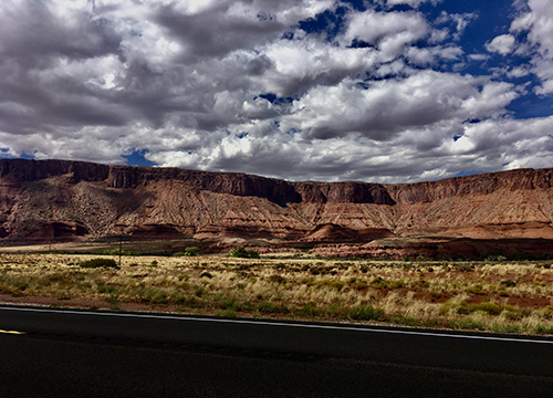 Infection: The Uninvited Universe