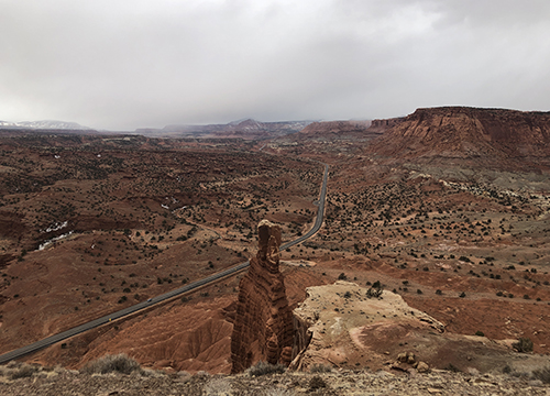 Infection: The Uninvited Universe