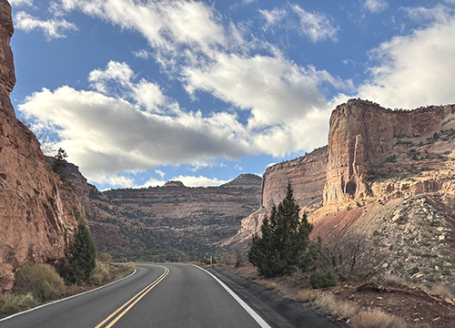 Lousy Sex: Creating Self in an Infectious World