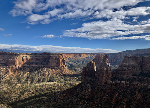 Lousy Sex: Creating Self in an Infectious World