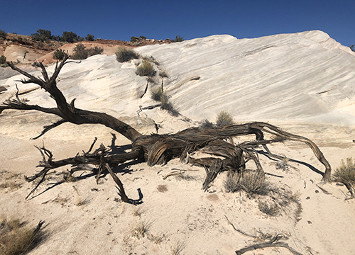 Gerald Callahan Unpublished: Me First (and Last): Selfish Stories