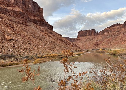 Gerald Callahan Unpublished: Me First (and Last): Selfish Stories